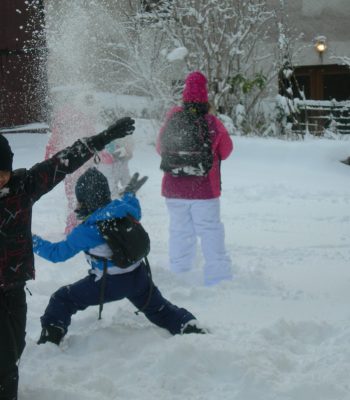 Neige de Février 2018 003