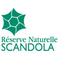 logo Scandola